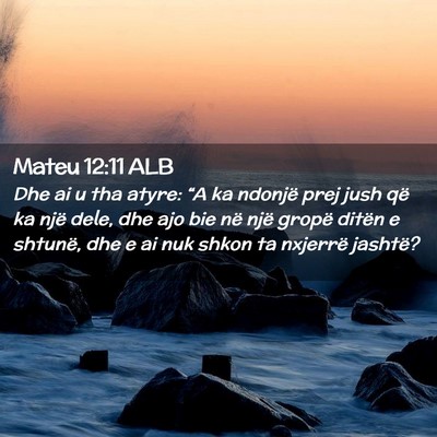 Picture 02 - Mateu 12:11 ALB - Dhe ai u tha atyre: “A ka ndonjë prej jush që - Bible Verse Picture