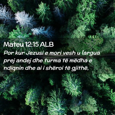 Picture 02 - Mateu 12:15 ALB - Por kur Jezusi e mori vesh u largua prej andej - Bible Verse Picture