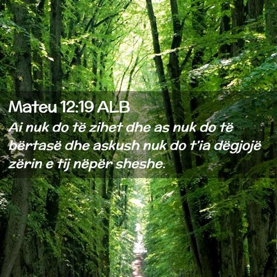Picture 02 - Mateu 12:19 ALB - Ai nuk do të zihet dhe as nuk do të bërtasë - Bible Verse Picture