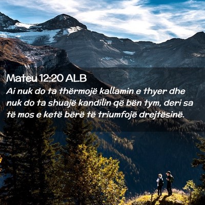 Picture 02 - Mateu 12:20 ALB - Ai nuk do ta thërmojë kallamin e thyer dhe nuk - Bible Verse Picture