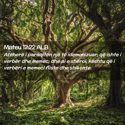 Picture 02 - Mateu 12:22 ALB - Atëherë i paraqitën një të idemonizuar, që - Bible Verse Picture