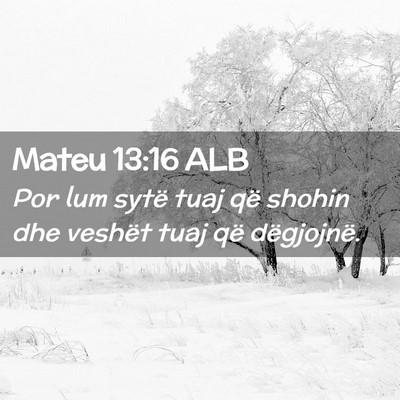 Picture 02 - Mateu 13:16 ALB - Por lum sytë tuaj që shohin dhe veshët tuaj - Bible Verse Picture