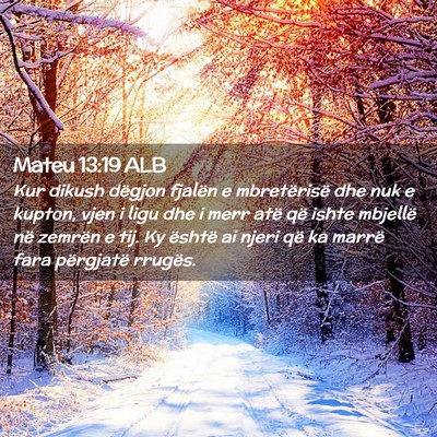 Picture 02 - Mateu 13:19 ALB - Kur dikush dëgjon fjalën e mbretërisë dhe nuk - Bible Verse Picture