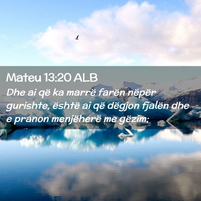 Picture 02 - Mateu 13:20 ALB - Dhe ai që ka marrë farën nëpër gurishte, - Bible Verse Picture