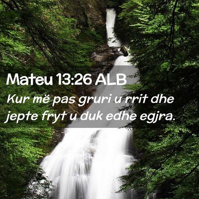 Picture 02 - Mateu 13:26 ALB - Kur më pas gruri u rrit dhe jepte fryt u duk - Bible Verse Picture