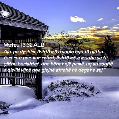 Picture 02 - Mateu 13:32 ALB - Ajo, pa dyshim, është më e vogla nga të - Bible Verse Picture