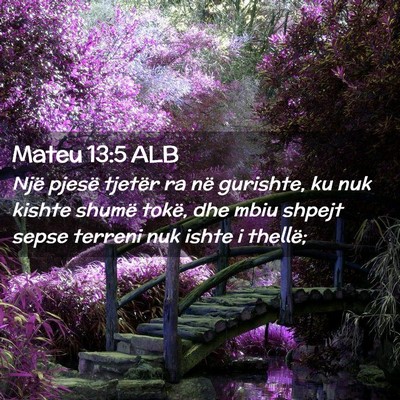 Picture 02 - Mateu 13:5 ALB - Një pjesë tjetër ra në gurishte, ku nuk - Bible Verse Picture
