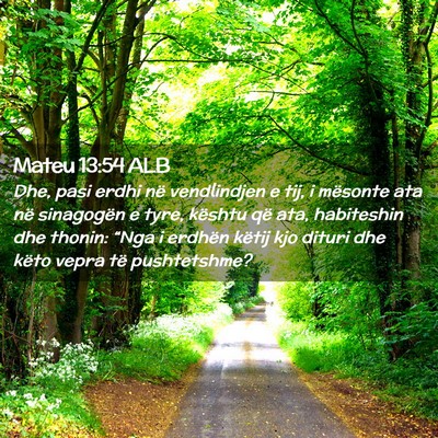 Picture 02 - Mateu 13:54 ALB - Dhe, pasi erdhi në vendlindjen e tij, i mësonte - Bible Verse Picture