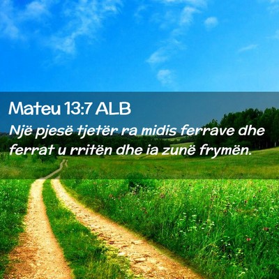 Picture 02 - Mateu 13:7 ALB - Një pjesë tjetër ra midis ferrave dhe ferrat u - Bible Verse Picture