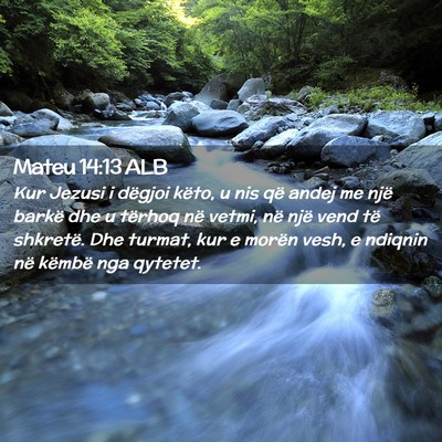 Picture 02 - Mateu 14:13 ALB - Kur Jezusi i dëgjoi këto, u nis që andej me - Bible Verse Picture