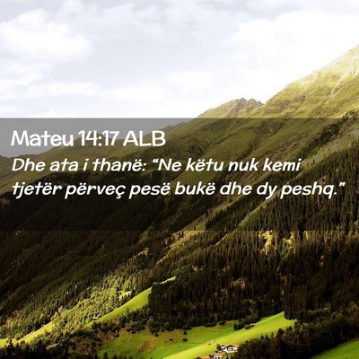 Picture 02 - Mateu 14:17 ALB - Dhe ata i thanë: “Ne këtu nuk kemi tjetër - Bible Verse Picture
