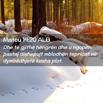 Picture 02 - Mateu 14:20 ALB - Dhe të gjithë hëngrën dhe u ngopën; pastaj - Bible Verse Picture