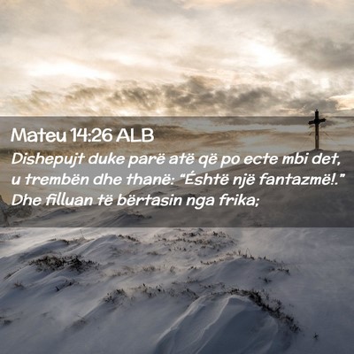 Picture 02 - Mateu 14:26 ALB - Dishepujt duke parë atë që po ecte mbi det, u - Bible Verse Picture
