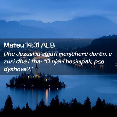 Picture 02 - Mateu 14:31 ALB - Dhe Jezusi ia zgjati menjëherë dorën, e zuri - Bible Verse Picture