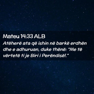 Picture 02 - Mateu 14:33 ALB - Atëherë ata që ishin në barkë erdhën dhe e - Bible Verse Picture