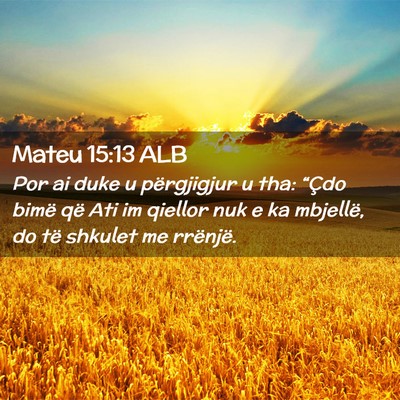 Picture 02 - Mateu 15:13 ALB - Por ai duke u përgjigjur u tha: “Çdo bimë - Bible Verse Picture