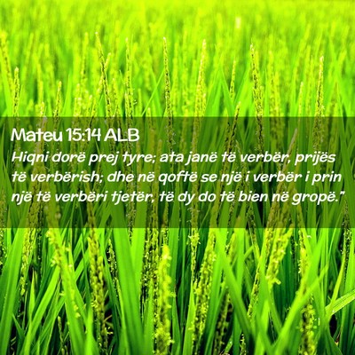 Picture 02 - Mateu 15:14 ALB - Hiqni dorë prej tyre; ata janë të verbër, - Bible Verse Picture