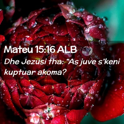 Picture 02 - Mateu 15:16 ALB - Dhe Jezusi tha: “As juve s’keni kuptuar - Bible Verse Picture
