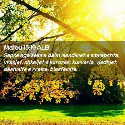 Picture 02 - Mateu 15:19 ALB - Sepse nga zemra dalin mendimet e mbrapshta, - Bible Verse Picture