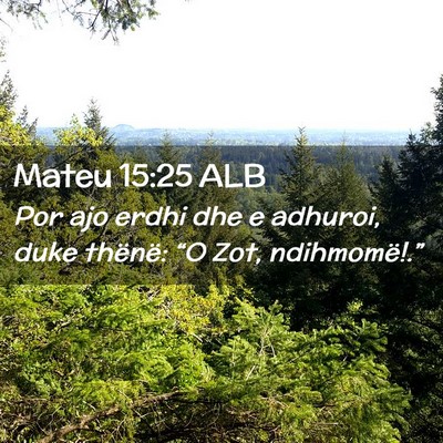 Picture 02 - Mateu 15:25 ALB - Por ajo erdhi dhe e adhuroi, duke thënë: “O - Bible Verse Picture