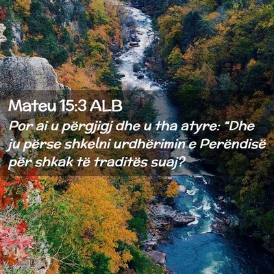 Picture 02 - Mateu 15:3 ALB - Por ai u përgjigj dhe u tha atyre: “Dhe ju - Bible Verse Picture