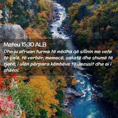 Picture 02 - Mateu 15:30 ALB - Dhe iu afruan turma të mëdha që sillnin me - Bible Verse Picture