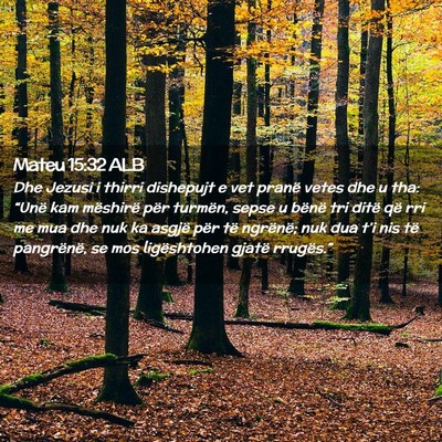 Picture 02 - Mateu 15:32 ALB - Dhe Jezusi i thirri dishepujt e vet pranë vetes - Bible Verse Picture