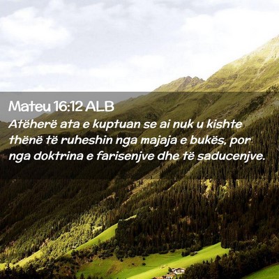 Picture 02 - Mateu 16:12 ALB - Atëherë ata e kuptuan se ai nuk u kishte - Bible Verse Picture