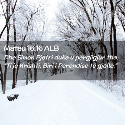 Picture 02 - Mateu 16:16 ALB - Dhe Simon Pjetri duke u përgjigjur tha: “Ti je - Bible Verse Picture