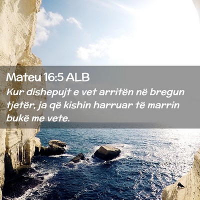 Picture 02 - Mateu 16:5 ALB - Kur dishepujt e vet arritën në bregun tjetër, - Bible Verse Picture