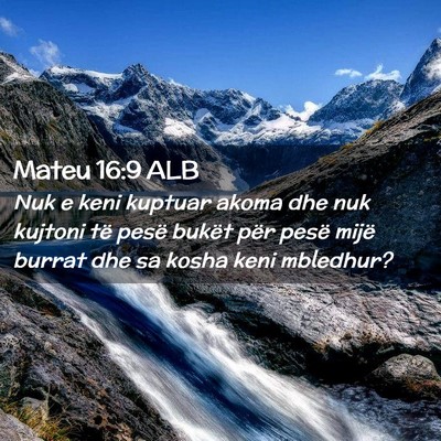 Picture 02 - Mateu 16:9 ALB - Nuk e keni kuptuar akoma dhe nuk kujtoni të - Bible Verse Picture