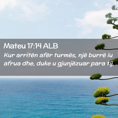 Picture 02 - Mateu 17:14 ALB - Kur arritën afër turmës, një burrë iu afrua - Bible Verse Picture