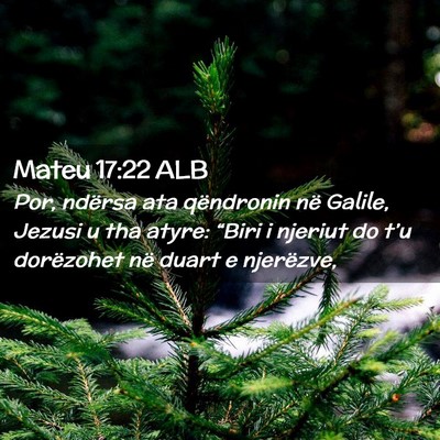 Picture 02 - Mateu 17:22 ALB - Por, ndërsa ata qëndronin në Galile, Jezusi u - Bible Verse Picture