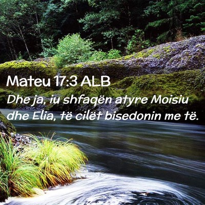 Picture 02 - Mateu 17:3 ALB - Dhe ja, iu shfaqën atyre Moisiu dhe Elia, të - Bible Verse Picture
