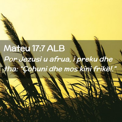 Picture 02 - Mateu 17:7 ALB - Por Jezusi u afrua, i preku dhe tha: “Çohuni - Bible Verse Picture