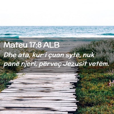 Picture 02 - Mateu 17:8 ALB - Dhe ata, kur i çuan sytë, nuk panë njeri, - Bible Verse Picture