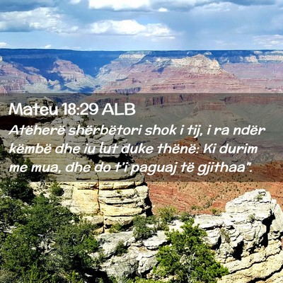 Picture 02 - Mateu 18:29 ALB - Atëherë shërbëtori shok i tij, i ra ndër - Bible Verse Picture