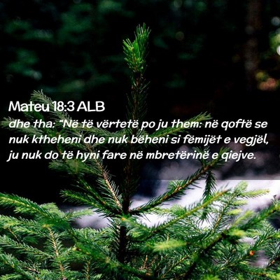 Picture 02 - Mateu 18:3 ALB - dhe tha: “Në të vërtetë po ju them: në - Bible Verse Picture