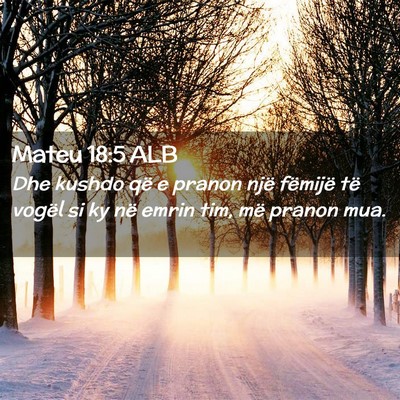 Picture 02 - Mateu 18:5 ALB - Dhe kushdo që e pranon një fëmijë të vogël - Bible Verse Picture