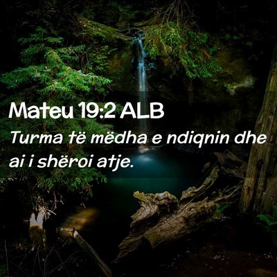 Picture 02 - Mateu 19:2 ALB - Turma të mëdha e ndiqnin dhe ai i shëroi - Bible Verse Picture