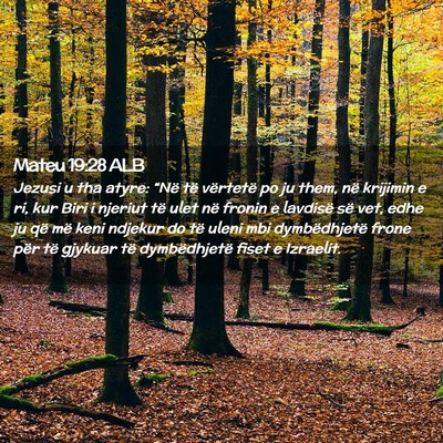 Picture 02 - Mateu 19:28 ALB - Jezusi u tha atyre: “Në të vërtetë po ju - Bible Verse Picture