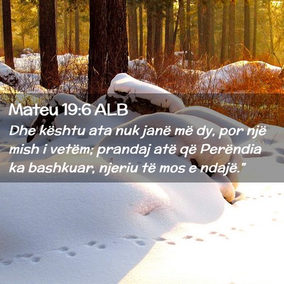 Picture 02 - Mateu 19:6 ALB - Dhe kështu ata nuk janë më dy, por një mish i - Bible Verse Picture