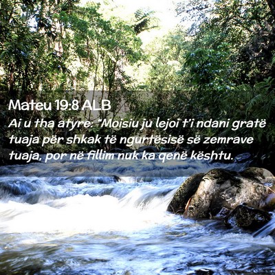 Picture 02 - Mateu 19:8 ALB - Ai u tha atyre: “Moisiu ju lejoi t’i ndani - Bible Verse Picture