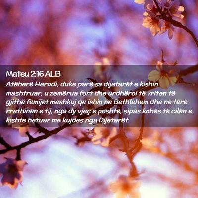 Picture 02 - Mateu 2:16 ALB - Atëherë Herodi, duke parë se dijetarët e - Bible Verse Picture