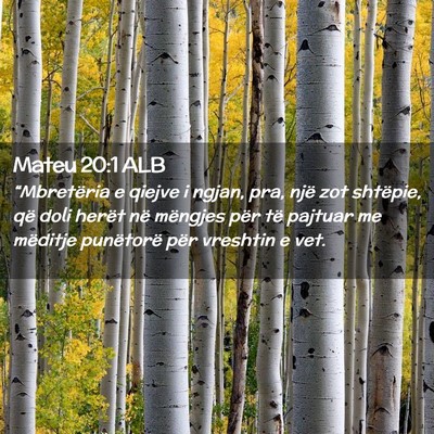 Picture 02 - Mateu 20:1 ALB - “Mbretëria e qiejve i ngjan, pra, një zot - Bible Verse Picture