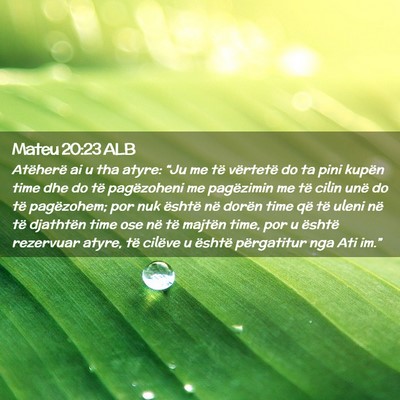 Picture 02 - Mateu 20:23 ALB - Atëherë ai u tha atyre: “Ju me të vërtetë - Bible Verse Picture