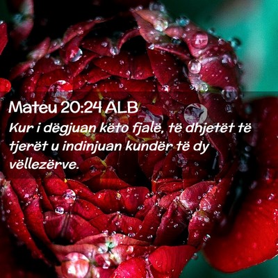 Picture 02 - Mateu 20:24 ALB - Kur i dëgjuan këto fjalë, të dhjetët të - Bible Verse Picture