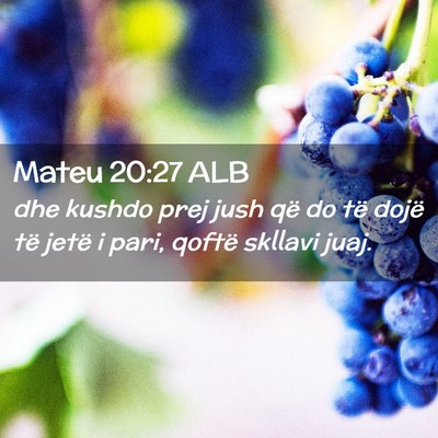 Picture 02 - Mateu 20:27 ALB - dhe kushdo prej jush që do të dojë të jetë i - Bible Verse Picture