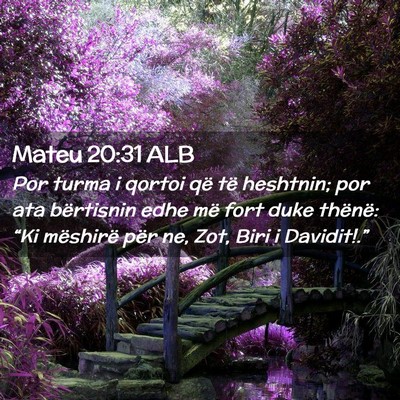Picture 02 - Mateu 20:31 ALB - Por turma i qortoi që të heshtnin; por ata - Bible Verse Picture
