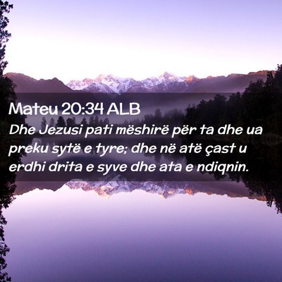 Picture 02 - Mateu 20:34 ALB - Dhe Jezusi pati mëshirë për ta dhe ua preku - Bible Verse Picture